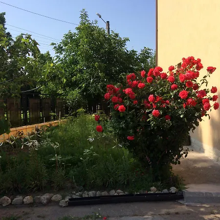 Casa de hóspedes Patricia Eforie Nord