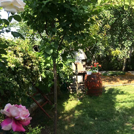 Casa de hóspedes Patricia Eforie Nord