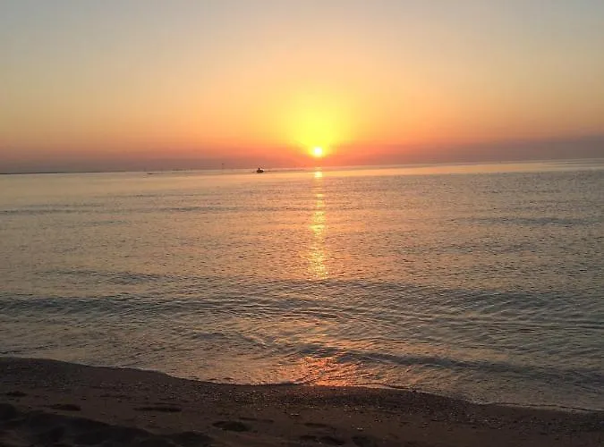 Patricia Pensión 3*