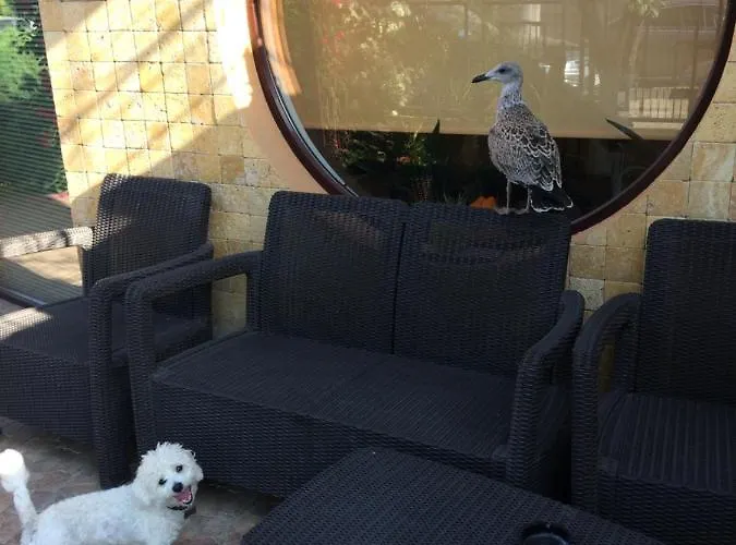 Patricia Vendégház 3*