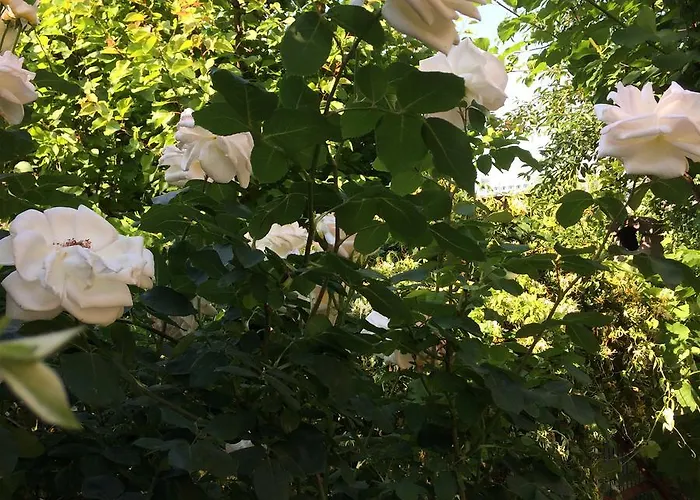 Vendégház Patricia 3*