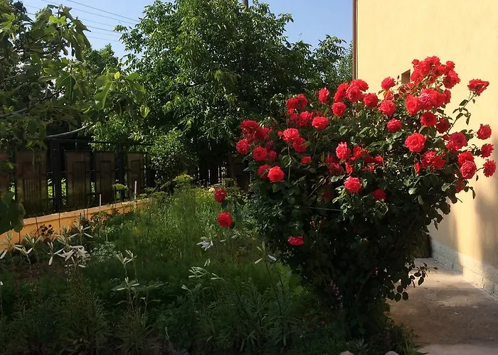 Vendégház Patricia Észak-Eforie