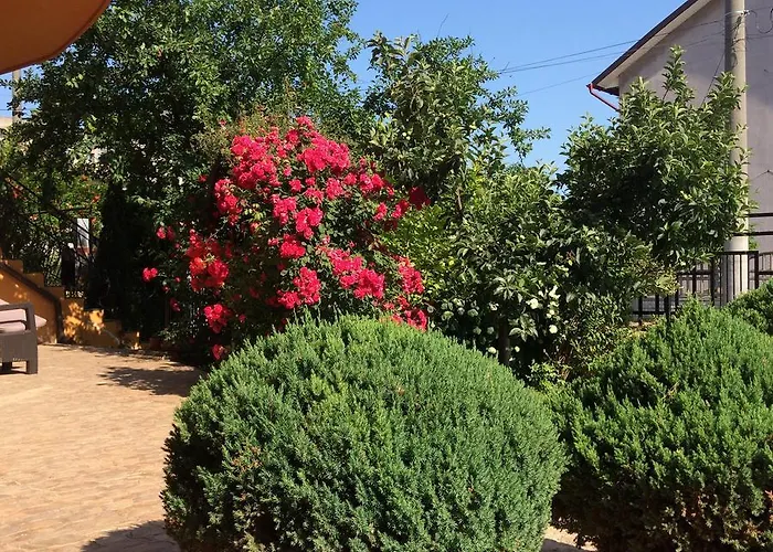 Vendégház Patricia Észak-Eforie