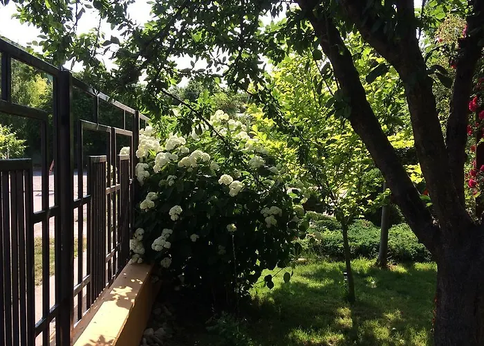 Patricia Észak-Eforie