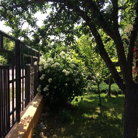 Patricia Eforie Nord