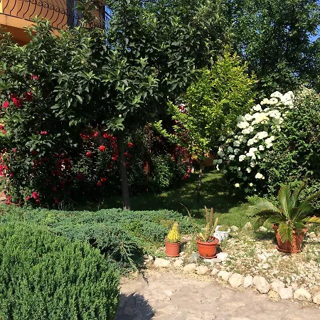 Patricia Affittacamere