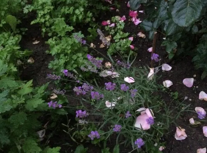 Patricia Casa de hóspedes