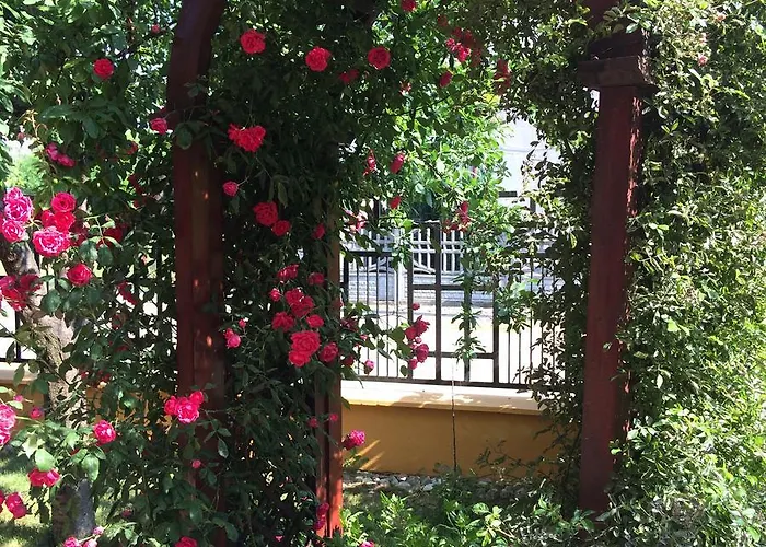 Patricia Pensiune 3*